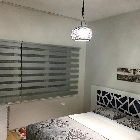 Concept 5 Apartment